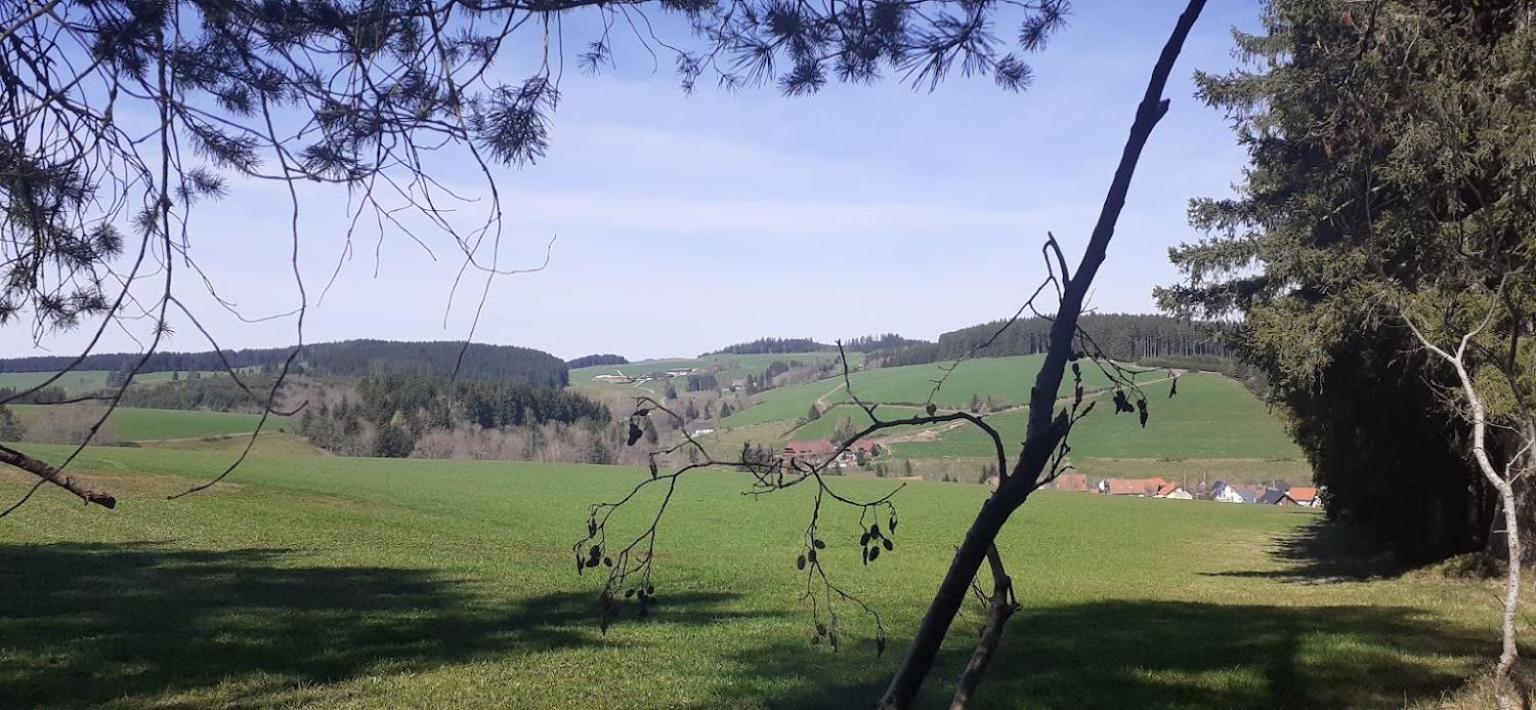 Ferienwohnung Brigachglueck Занкт-Георген-ім-Шварцвальд Екстер'єр фото